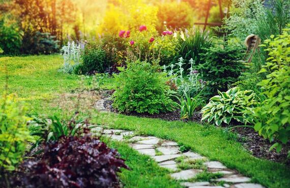 大変な庭の除草を安心して任せられる会社です | 大分で環境と人に優しい除草なら株式会社エス・ケイ・サービス